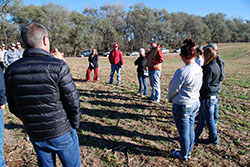 Northeast to host cover crop field day